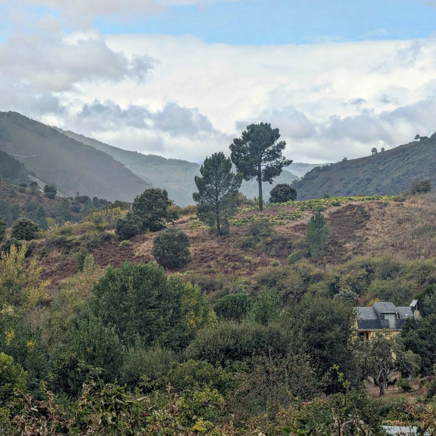 Day 20: Molinaseca – Cacabelos 31km