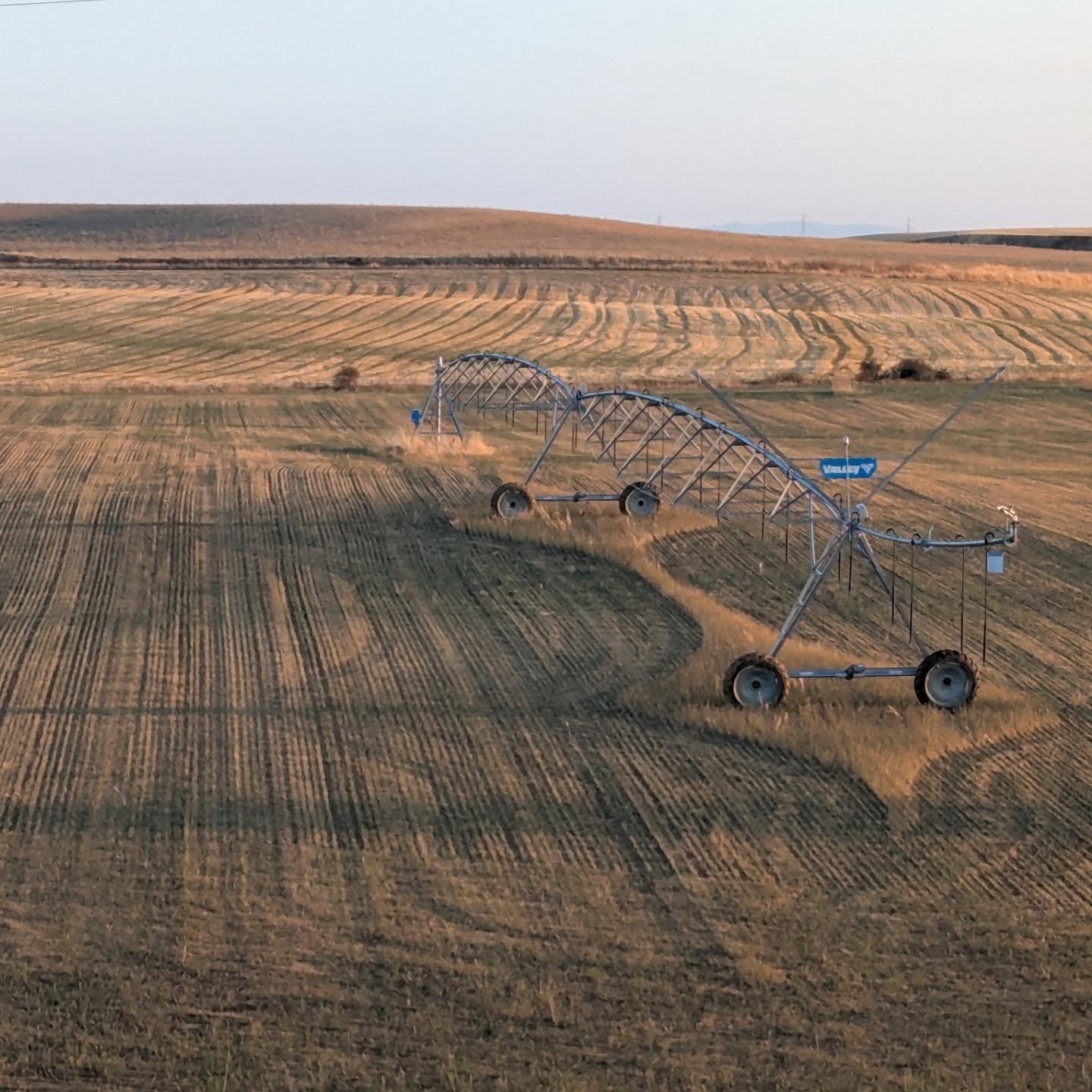 Day 15: Fromista to Carrión de los Condes, 19km
Today is the day I slow down and walk with people.