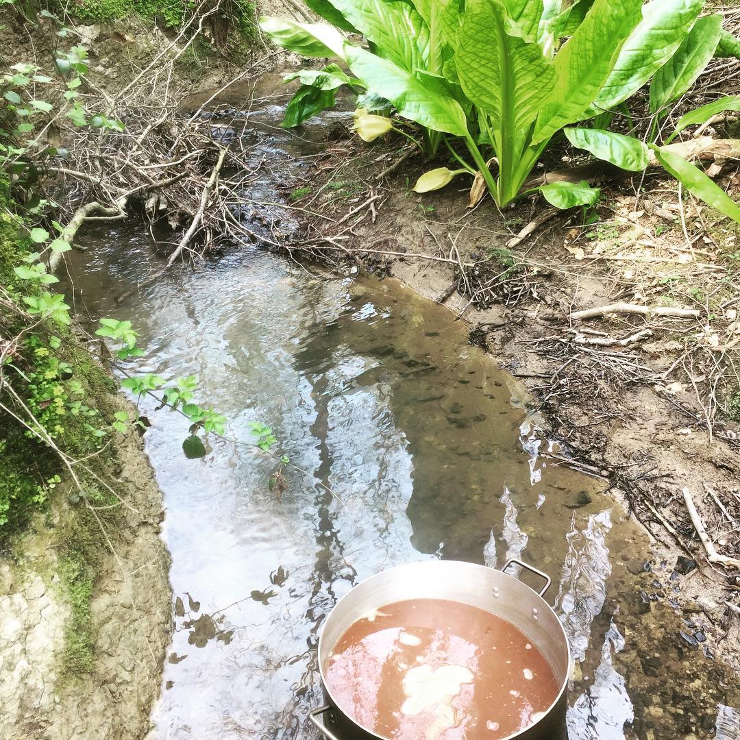 Beer in the Wild! Primitive beer v2. This year, our woodland project was simplified somewhat from the previous year. All fuel to heat the brew came from the local woodland, all cooling was done in a stream adjacent to the brewing site, all water was filtered from the stream. We used smoked malt, but only 1/3 of the grain bill, the rest was based on the Red recipe.