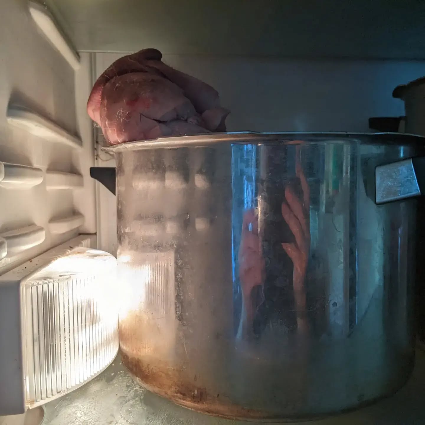 More waste meat stuff.