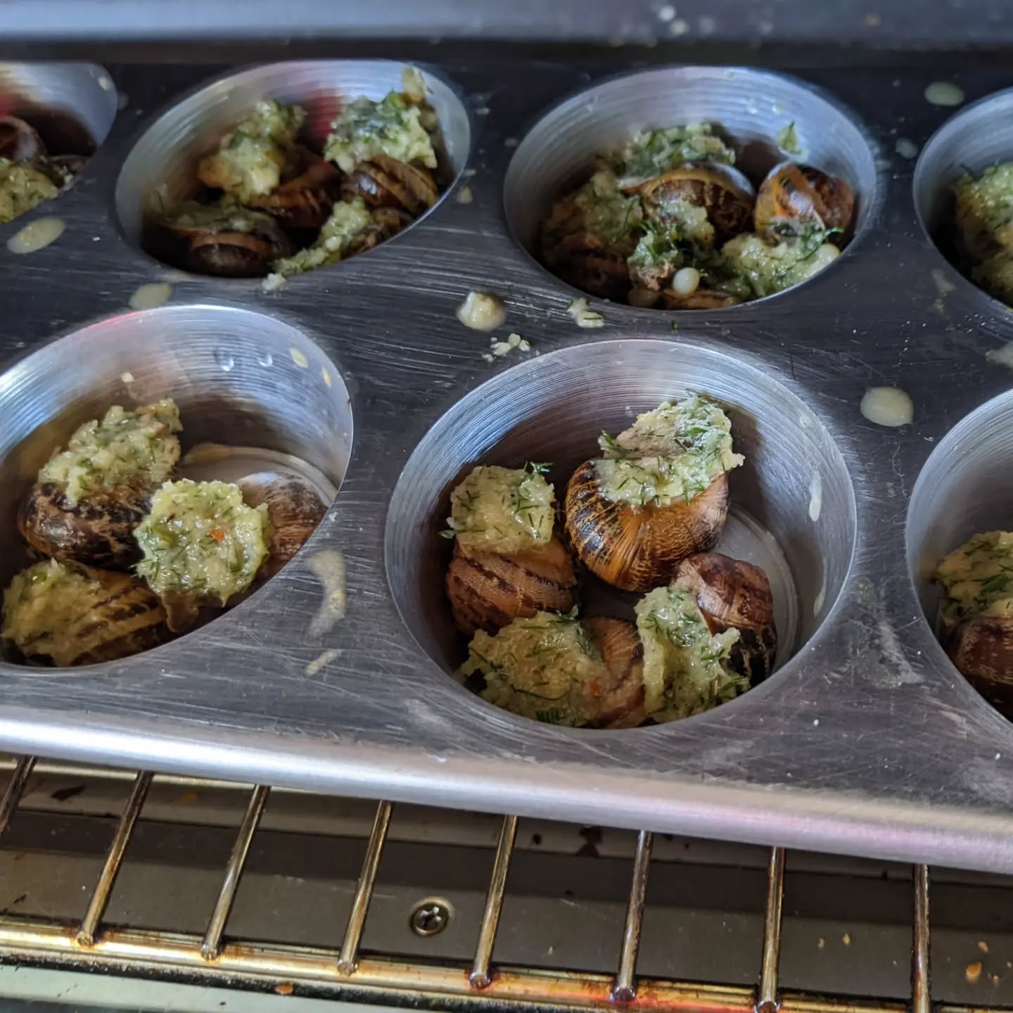 Garden Snails. Yup. You can eat them, you might even enjoy it. Done 4 batches now, so can share some experience. Some of the thinking points on this project are:
1.