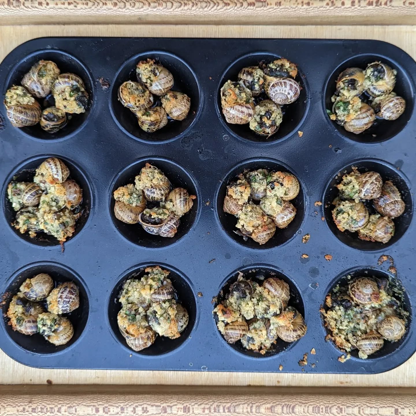 Garden snails, v5 (I think): 5 days fed on carrots. Fridge for 4hrs. Blanche for 2 mins. Wash, remove from shells. Remove the small brown spiral at the top.