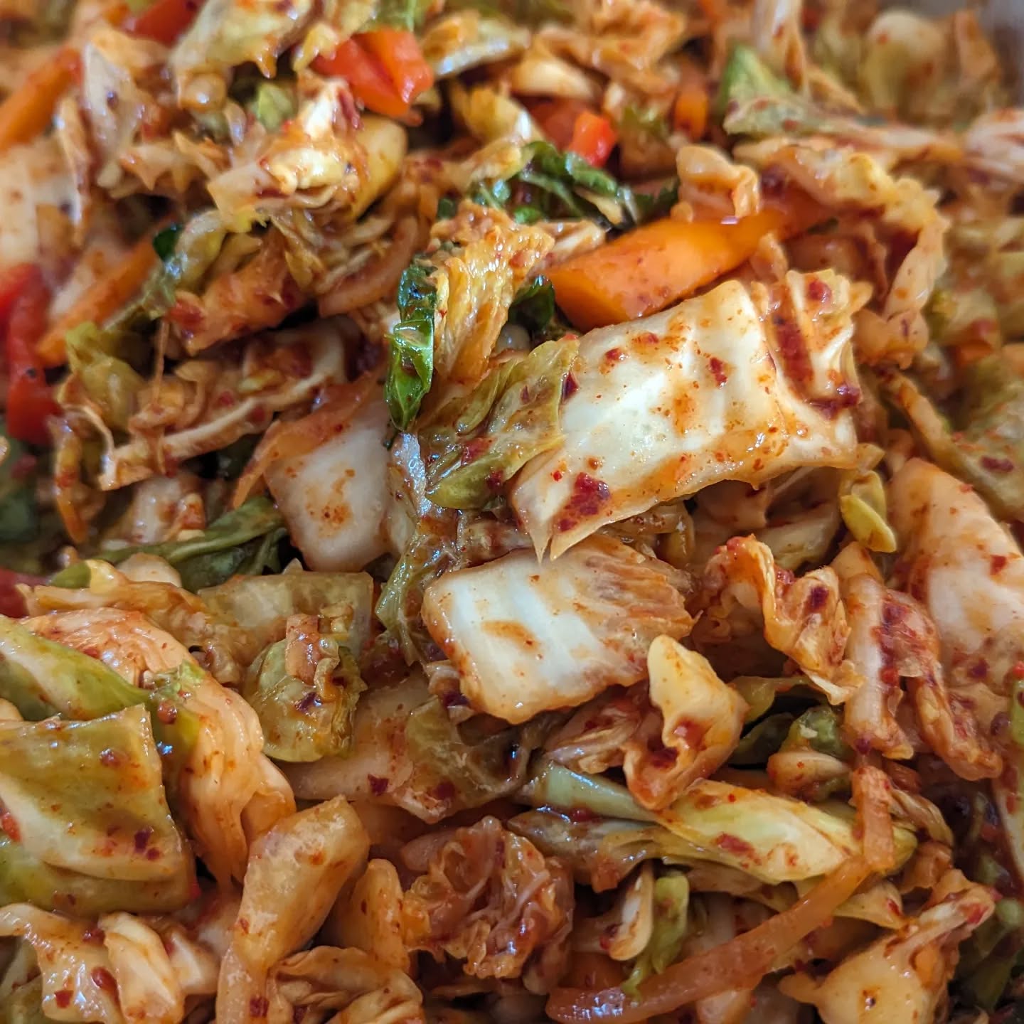 Another round of kimchi this morning. Sweetheart, Savoy and Napa cabbages in the mix with some pepper, onions, carrots and garlic. Fish sauce, rice porridge, gochugaru pepper flakes to season, add creaminess and spice respectively. Just scaled up Maangchi's ratios for the porridge and chilli flakes and went with 2% by weight of the total for the salt. This will likely be pushed up to around 2.3% due to the fish sauce, which is an acceptable amount for a ferment.
