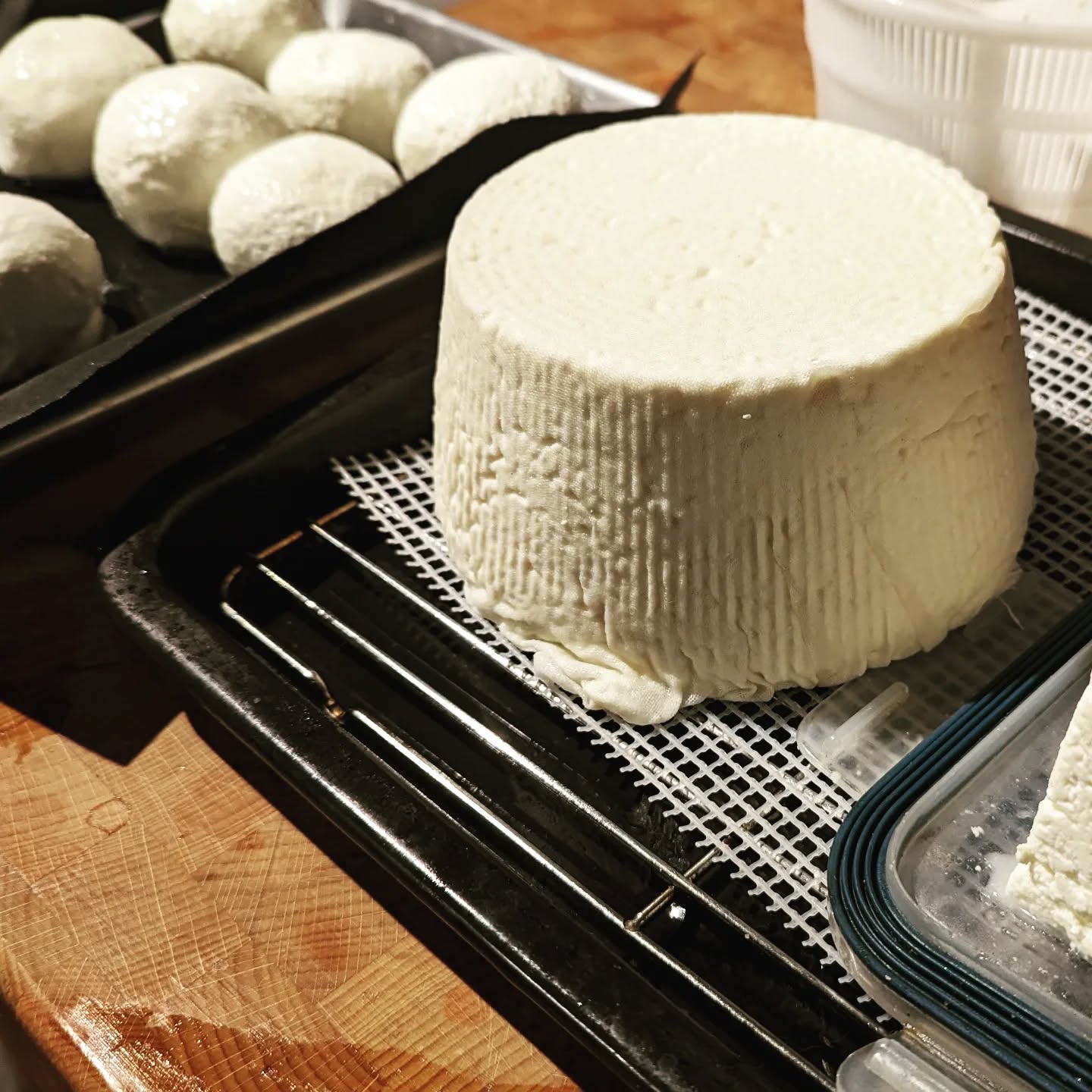 Picked up some discount milk during the holiday insanity and have been at it for a few days, reading and learning about cheese. On the left here are quite a few mozz balls, which I've frozen for pizza. On the right is an Italian Ligurian cheese called bel paese. The curds are pretty firm and they're not pressed. This will age in the fridge for 3-4 weeks.