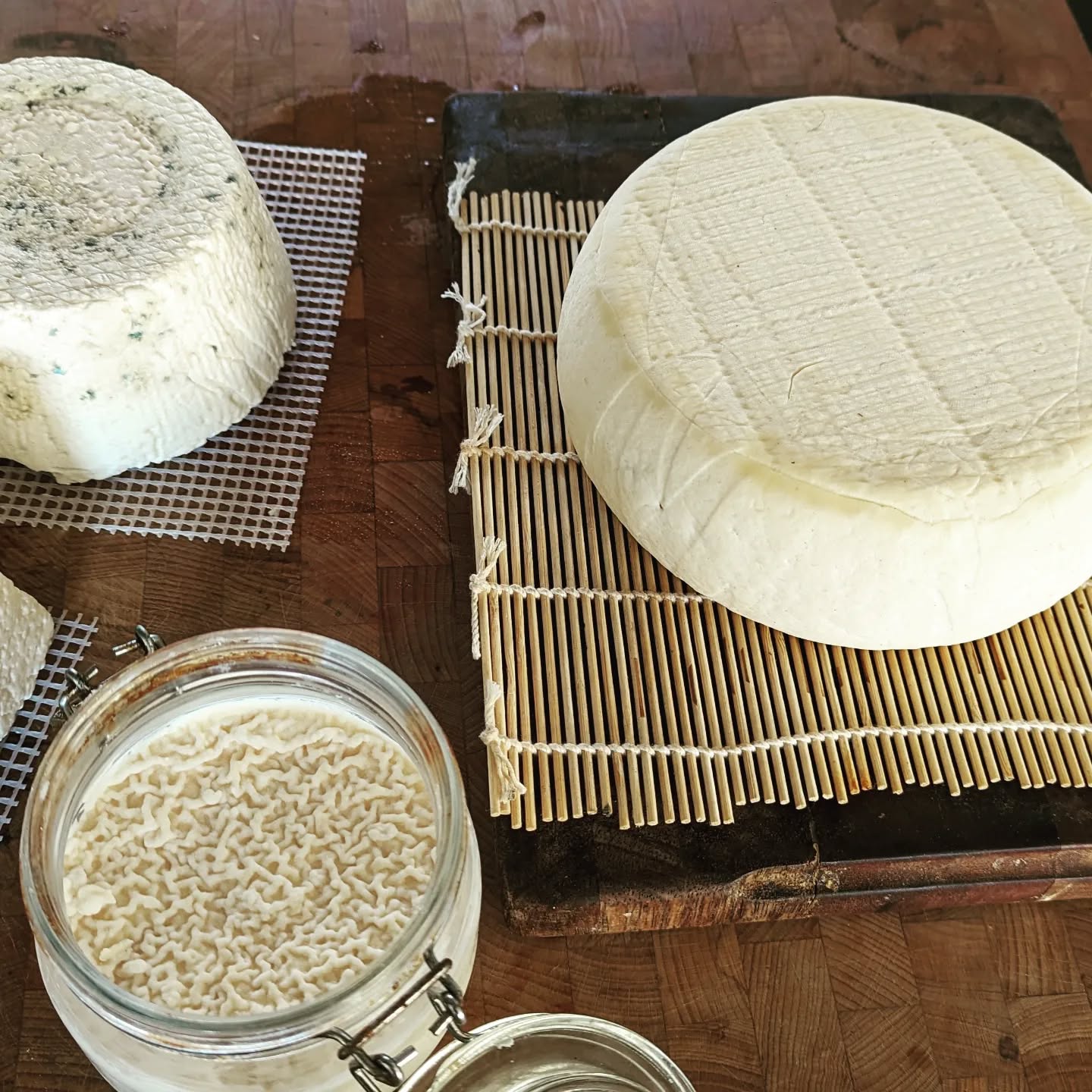 My recent foray into cheesemaking. From top left in the cover photo: Bel Paese, Caerphilly, Marcellin. There's a nice book called The Art of Natural Cheesemaking that I started with. His approach is very much avoiding the sterile modern approach, also found in modern beer making, and using diverse microbial cultures found in raw milk and kefir to produce interesting and characterful cheese. I used my "house" amasi culture which I've had for 18 months or so now, a South African lacto ferment that has seemed to have survived better than any other I've used.