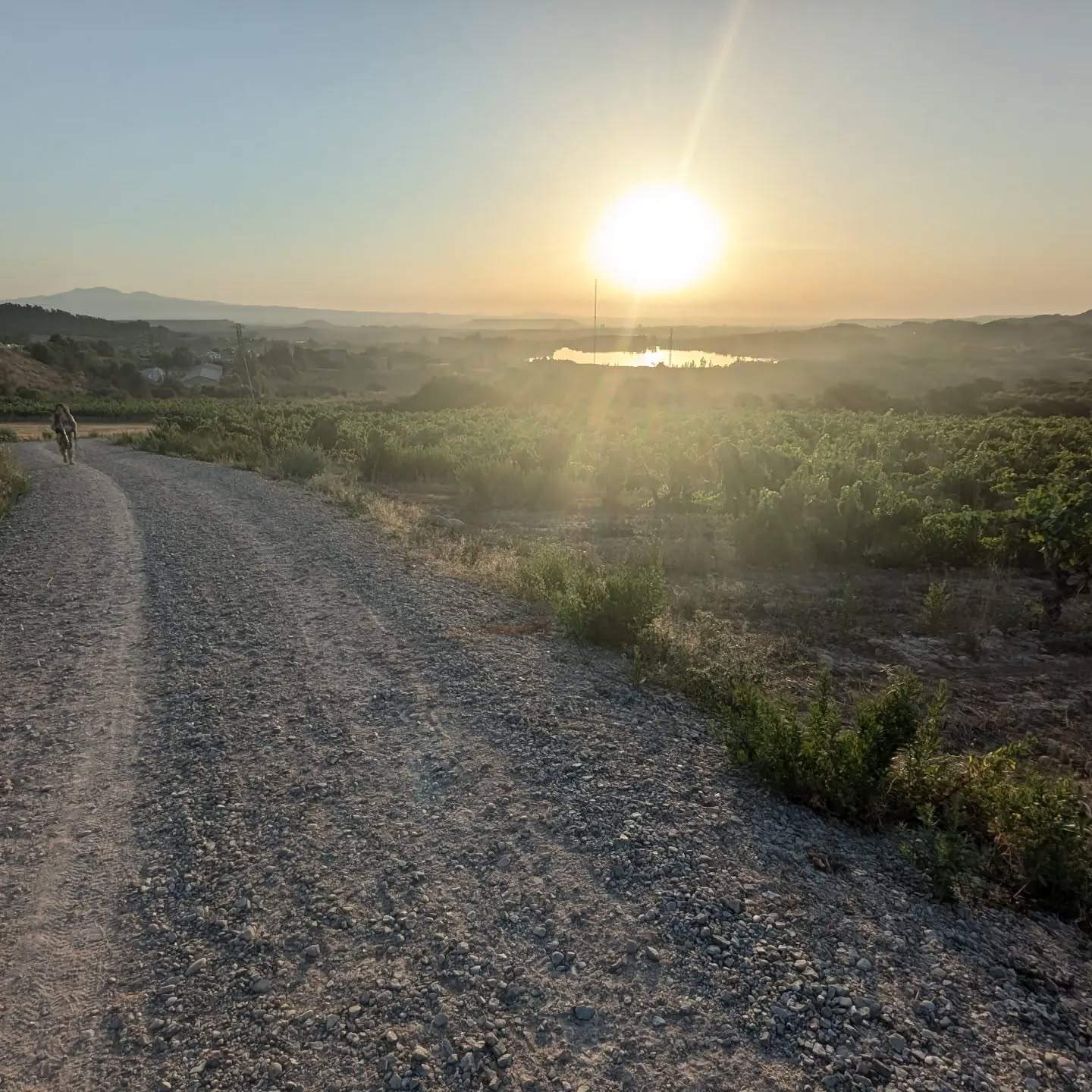 Day 8: Larrasoaña to Nájera 27km.