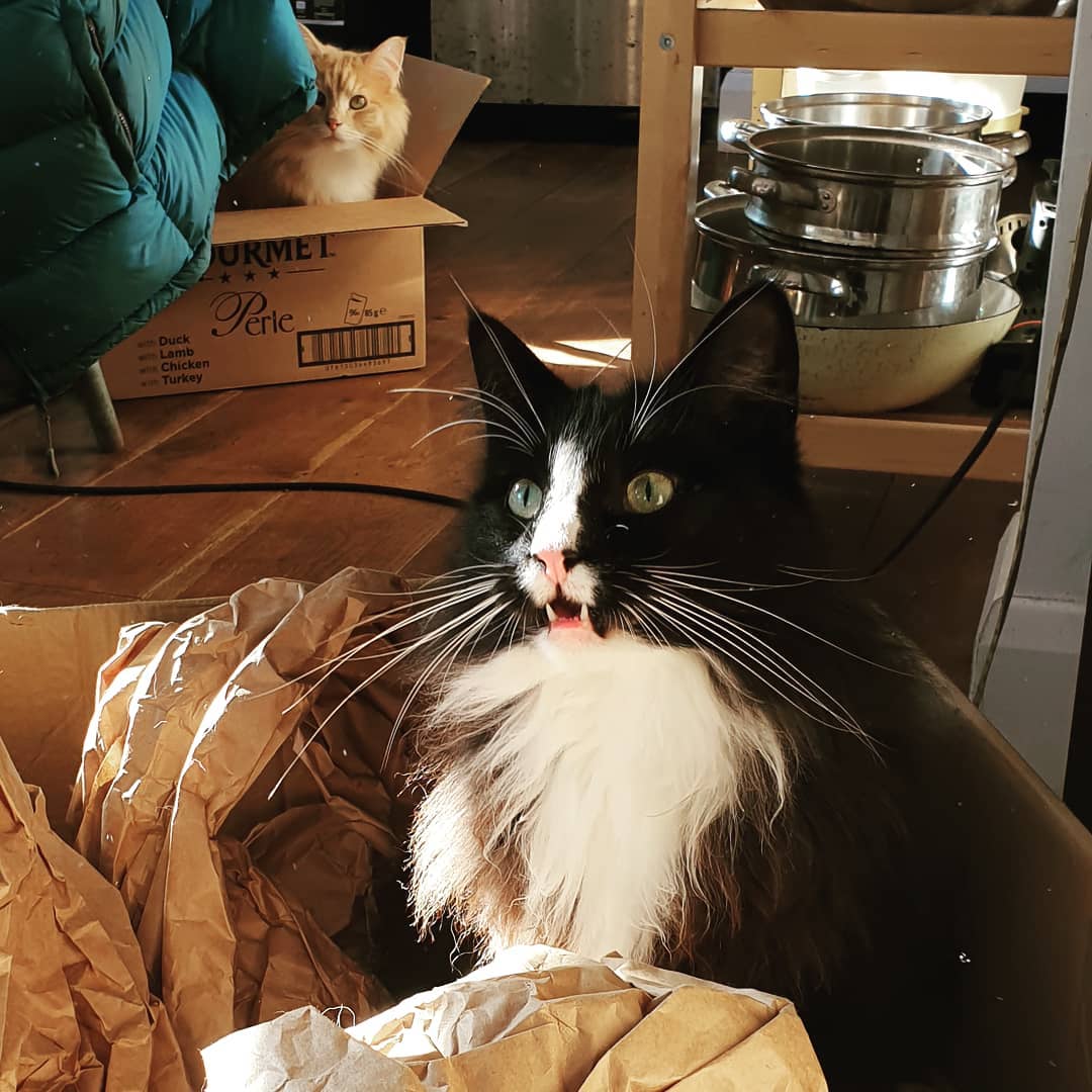 So as not to leave out Kaia.